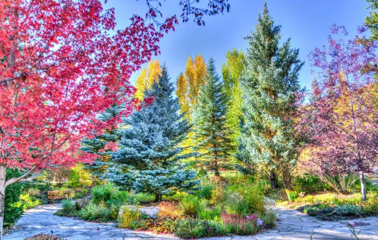 Things-to-Do-in-Colorado-us
