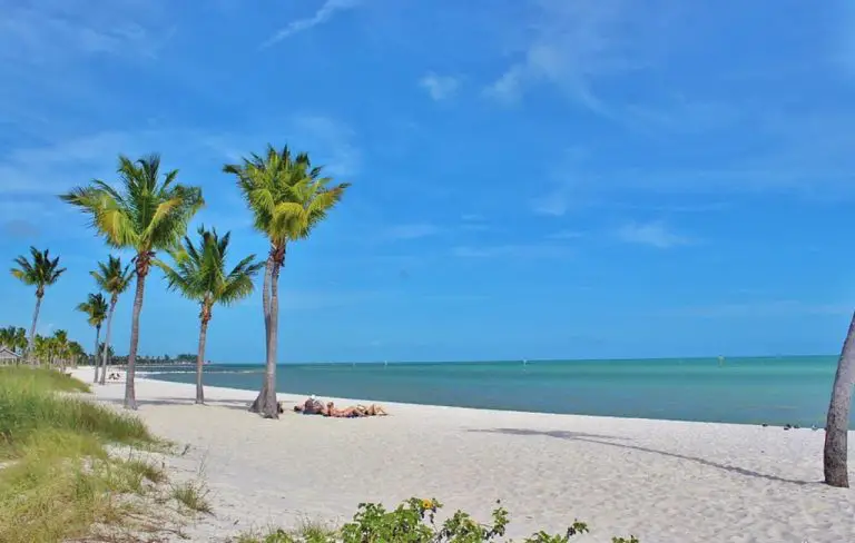 Things-to-Do-in-Florida-US