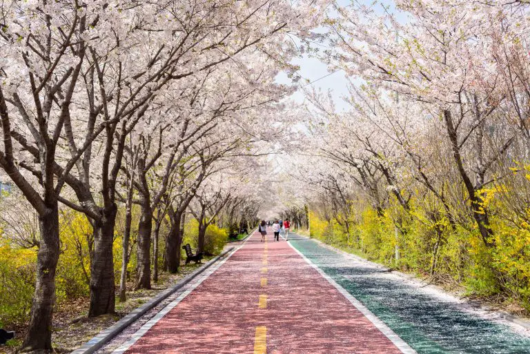 best places to go in march