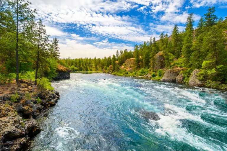 washington